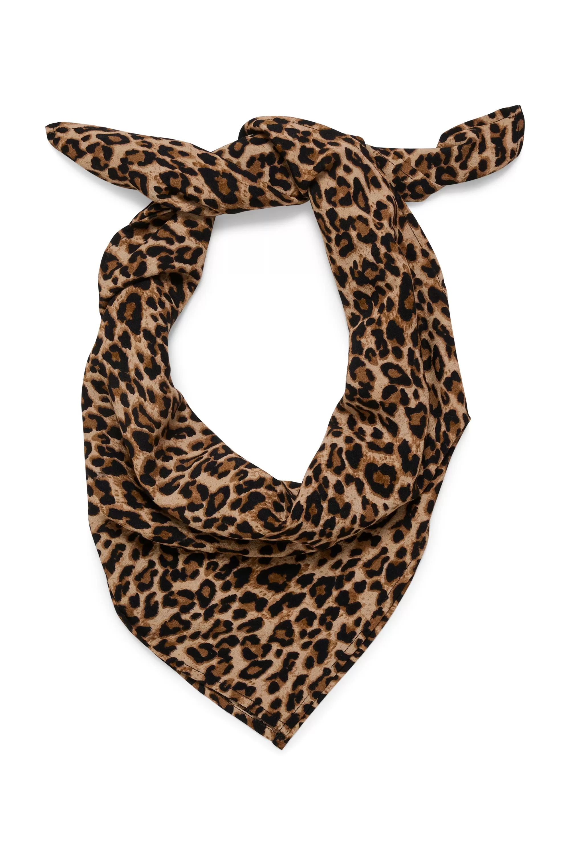 SaintTropez XaniaSZ Leopard Scarf BlackRegLeo Hot